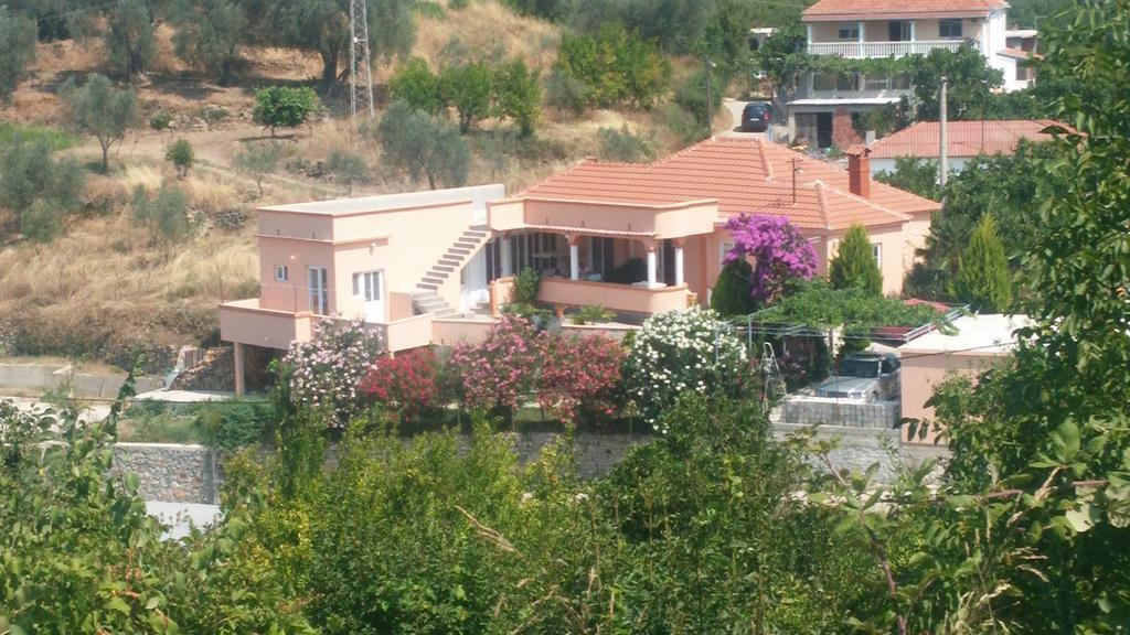 Guest'S House "Lindi&Roni" Apartamento Ulcinj Quarto foto